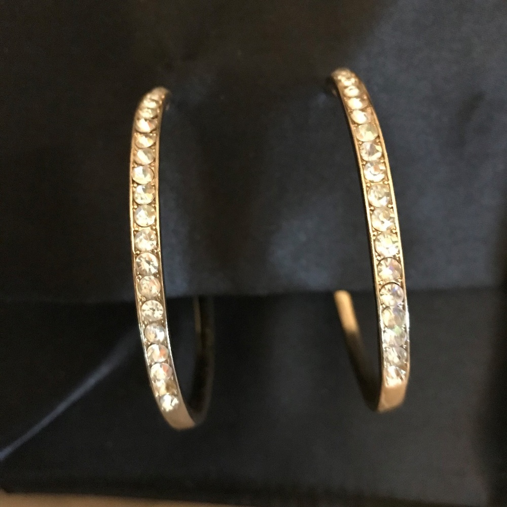 Hoop Earrings